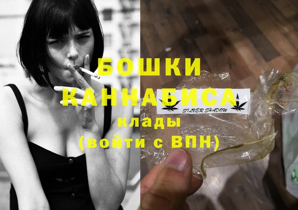 соль ск Волосово