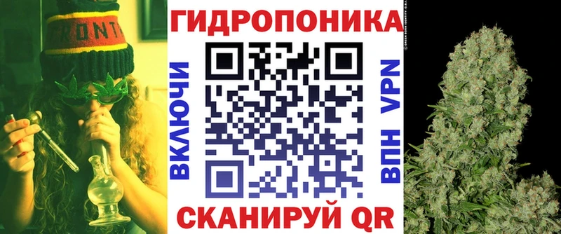 Канабис семена  Вольск 